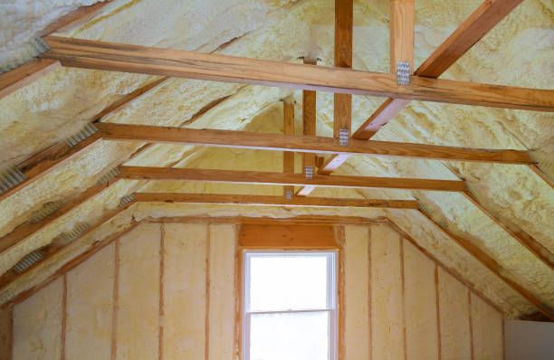 Best Residential Insulation in Friendswood, TX