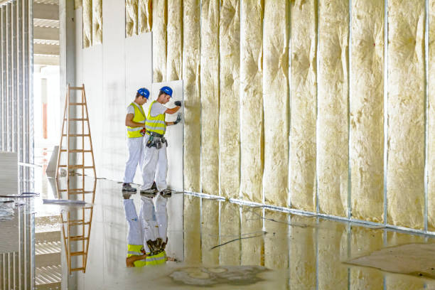 Best Residential Insulation in Friendswood, TX